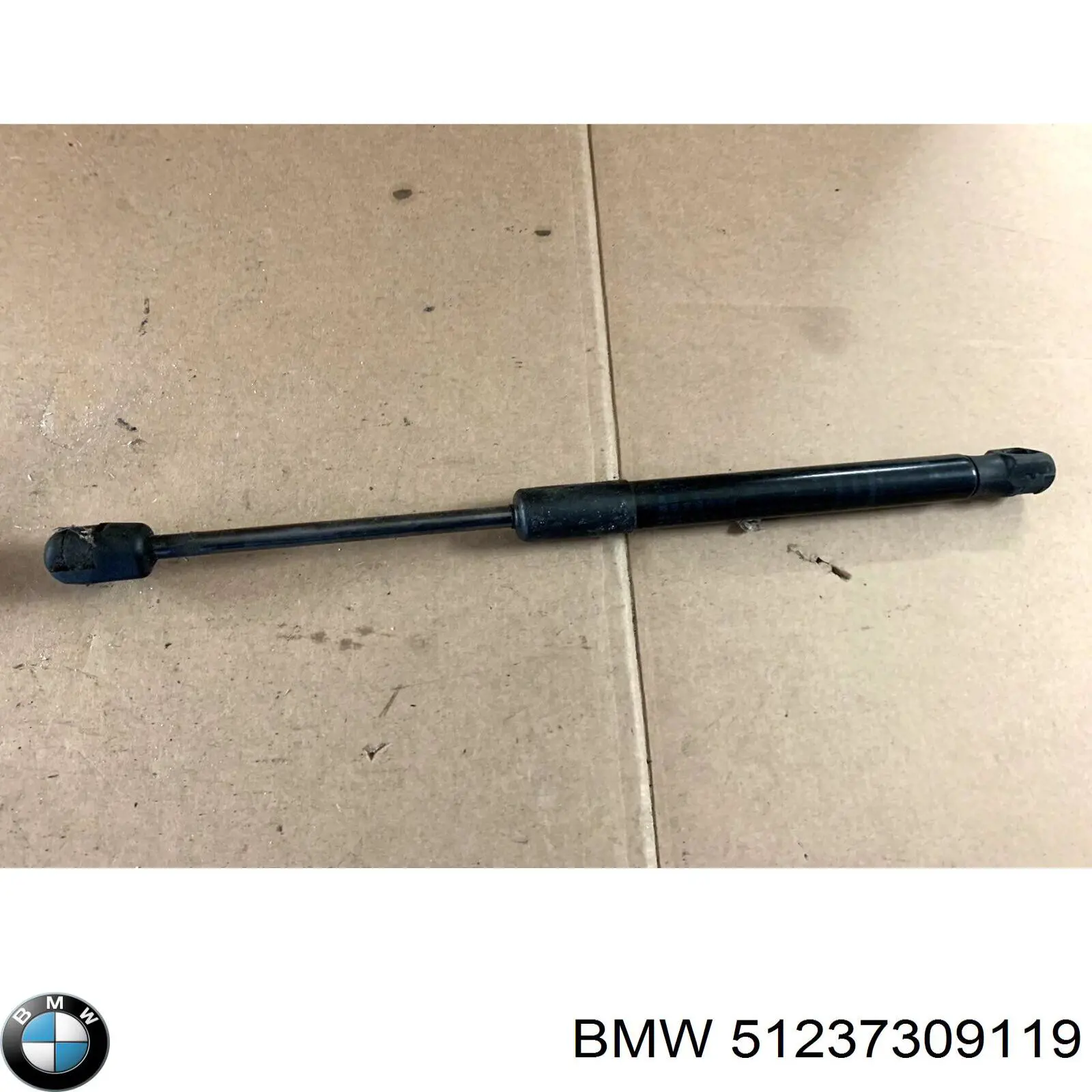 51237309119 BMW amortecedor da capota