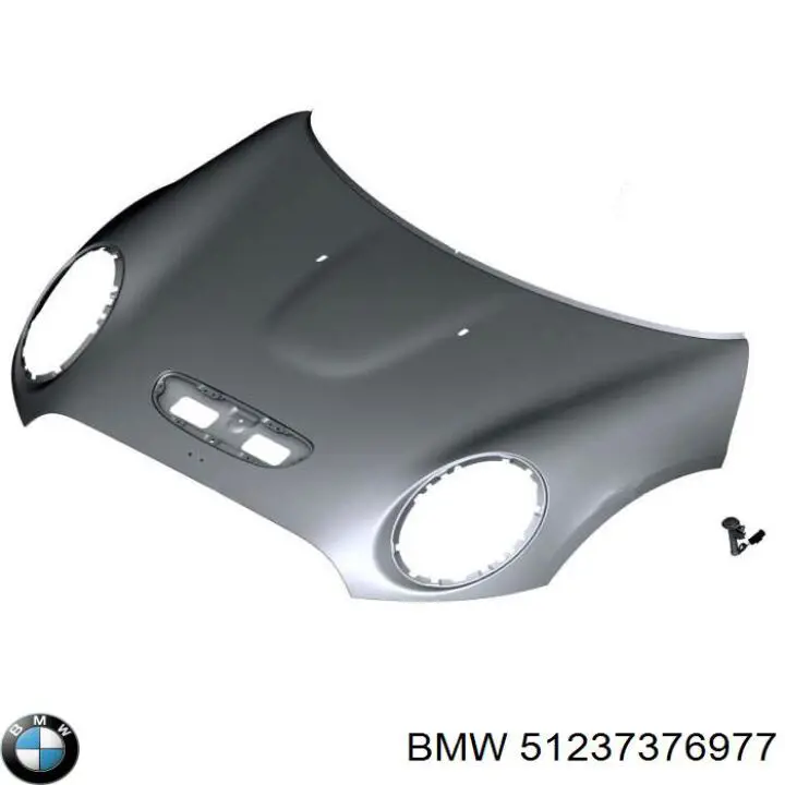 51237376977 BMW 