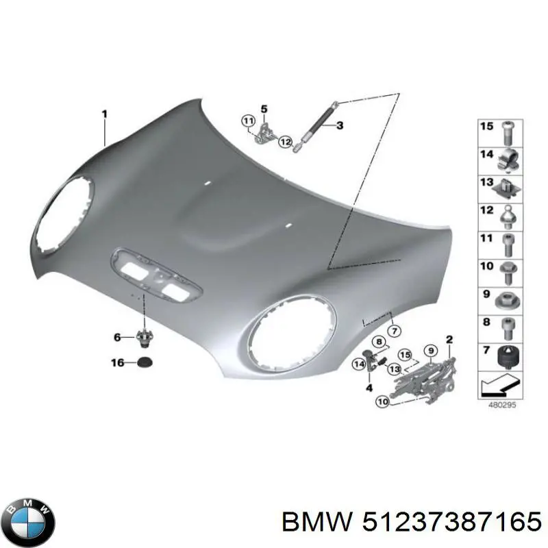 51237387165 BMW 