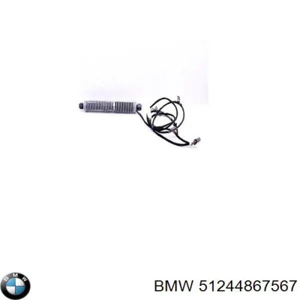 51244867567 BMW 