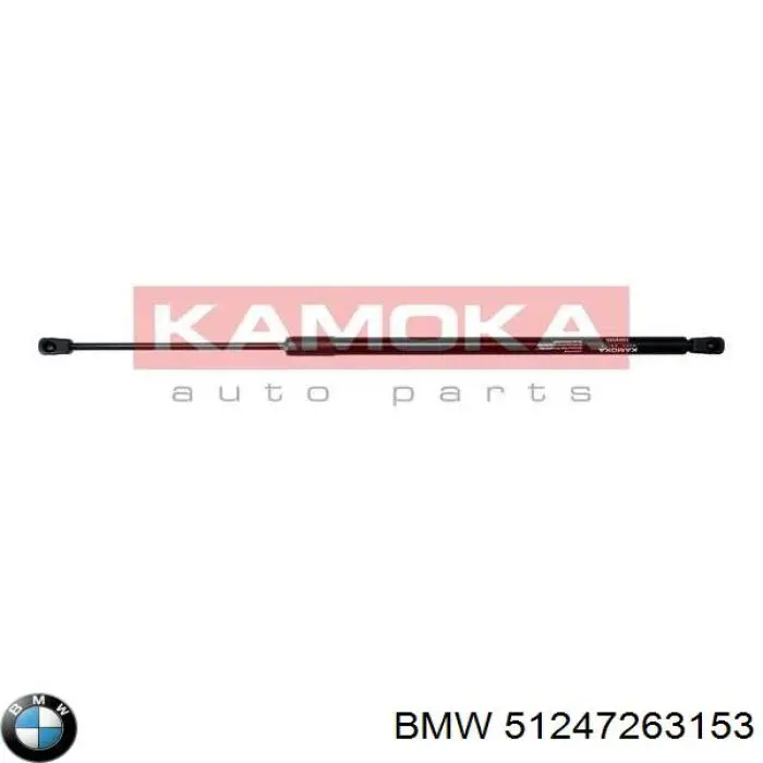 Амортизатор задней двери BMW 51247263153 цена, от 7.50 USD