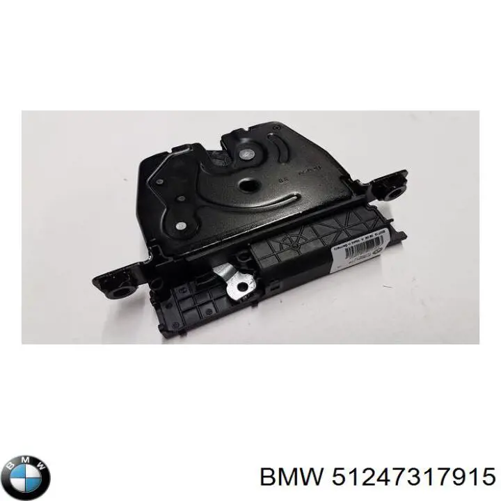 51247317915 BMW 
