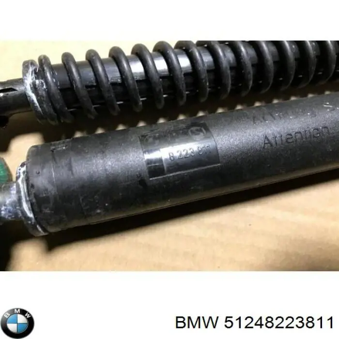 Амортизатор задней двери BMW 51248223811 цена, от 44.35 USD