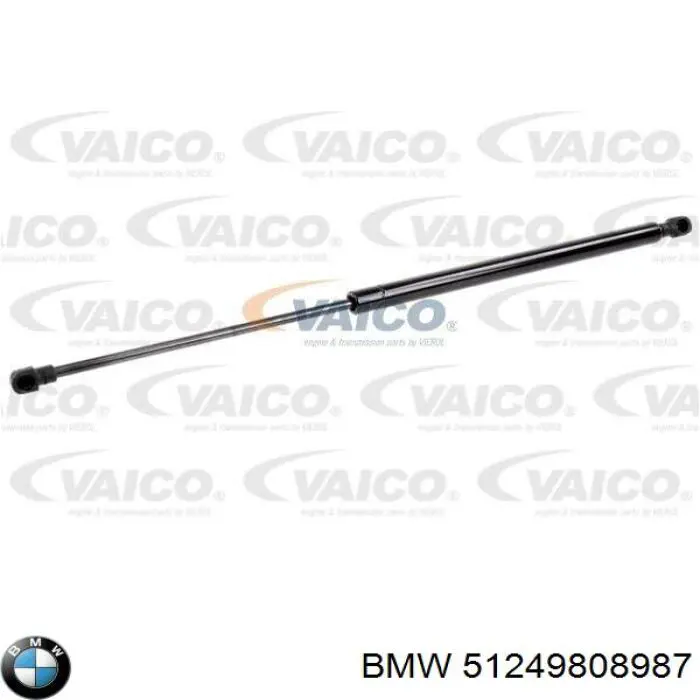 51249808987 BMW amortecedor de tampa de porta-malas (de 3ª/5ª porta traseira)