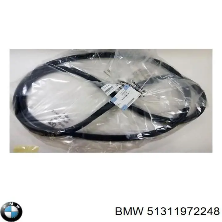 51311972248 BMW Прокладка лобового стекла