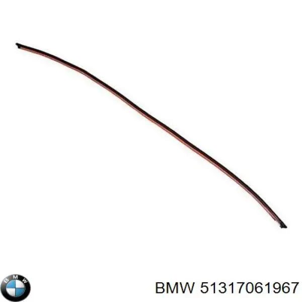 51317061967 BMW moldura superior de pára-brisas