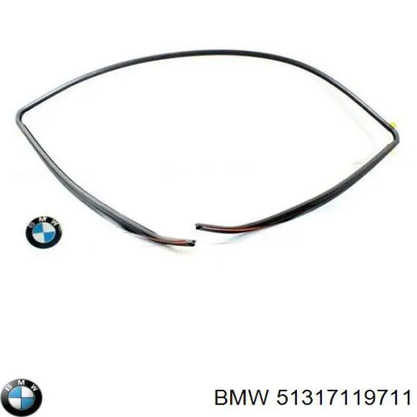  51317119711 BMW