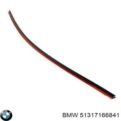 Молдинг лобового стекла, верхний BMW 51317166841