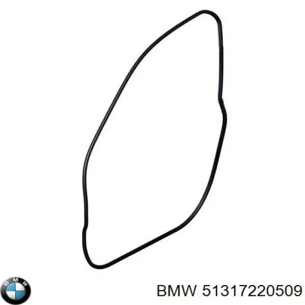 51317220509 BMW 