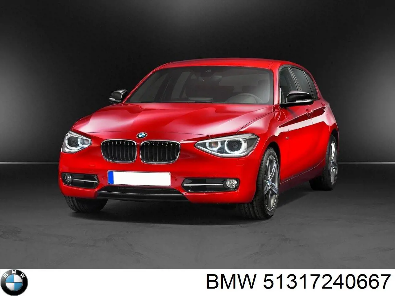 51317240667 BMW 