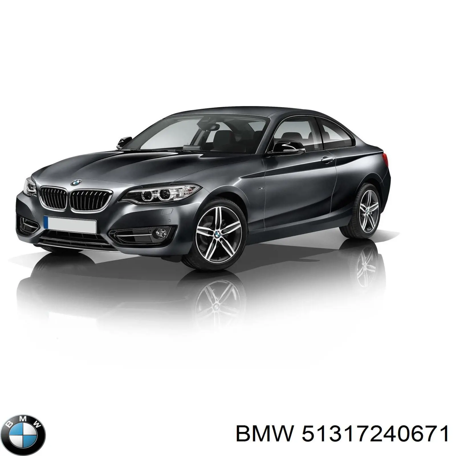 Moldura de pára-brisas 51317240671 BMW