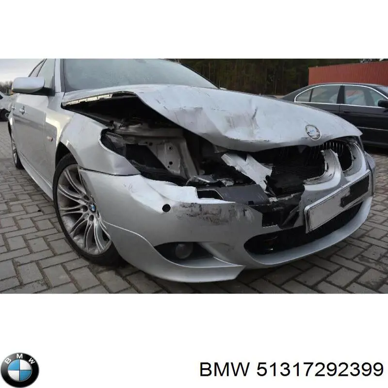 Лобовое стекло 51317292399 BMW