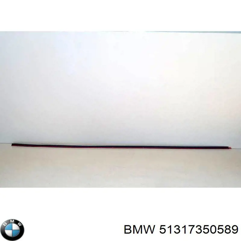 Moldura de pára-brisas para BMW X1  F48