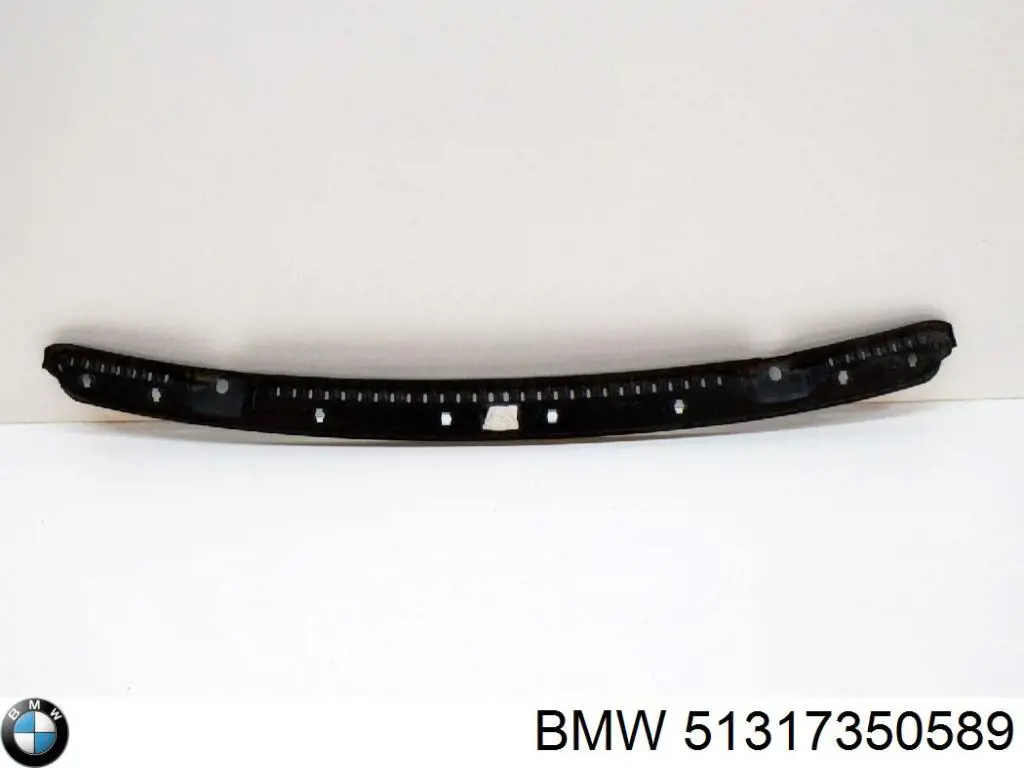  Moldura de pára-brisas BMW X1 SUV (F48) (2015 - 2022) 