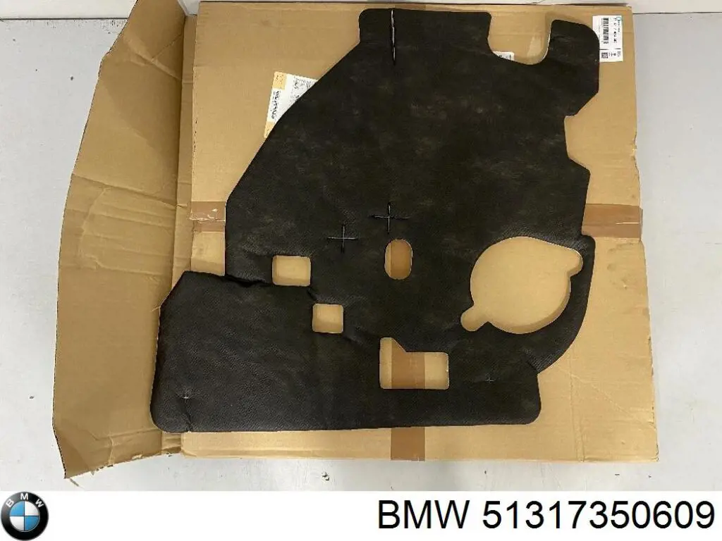 Молдинг лобового стекла левый 51317350609 BMW