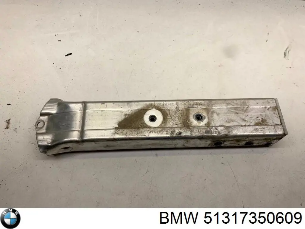 Молдинг ветрового стекла левый BMW 51317350609 цена, от 22.60 USD