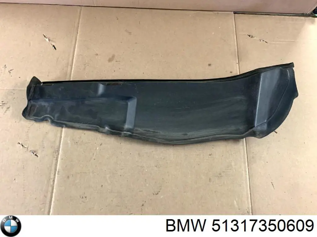 Купить 51317350609 BMW Защитная накладка переднего стекла левая