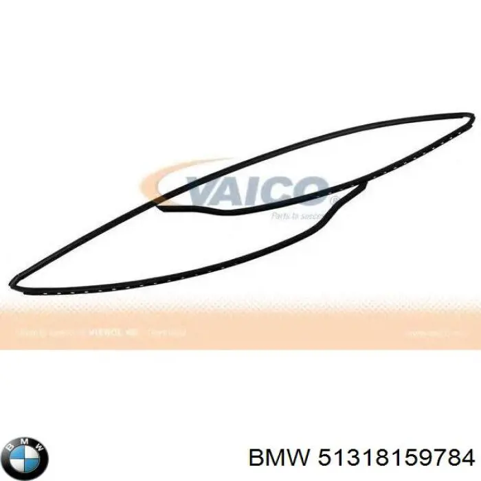 Защитная накладка переднего стекла на BMW 5  E39