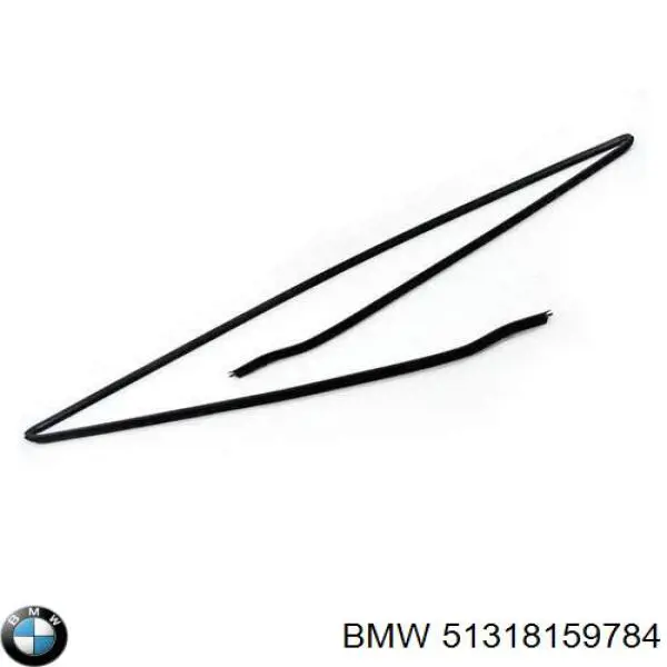 51318159784 BMW молдинг лобового стекла