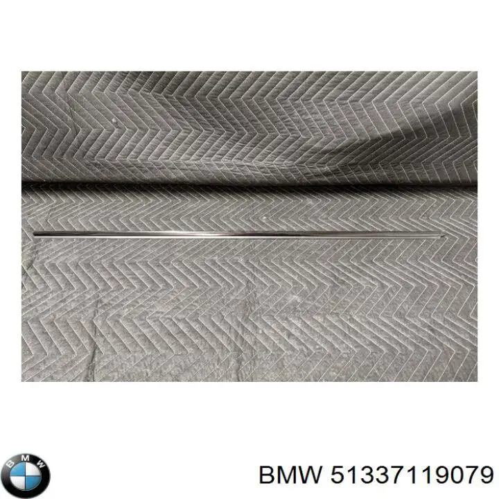 51337119079 BMW 