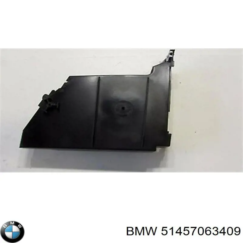51457063409 BMW 
