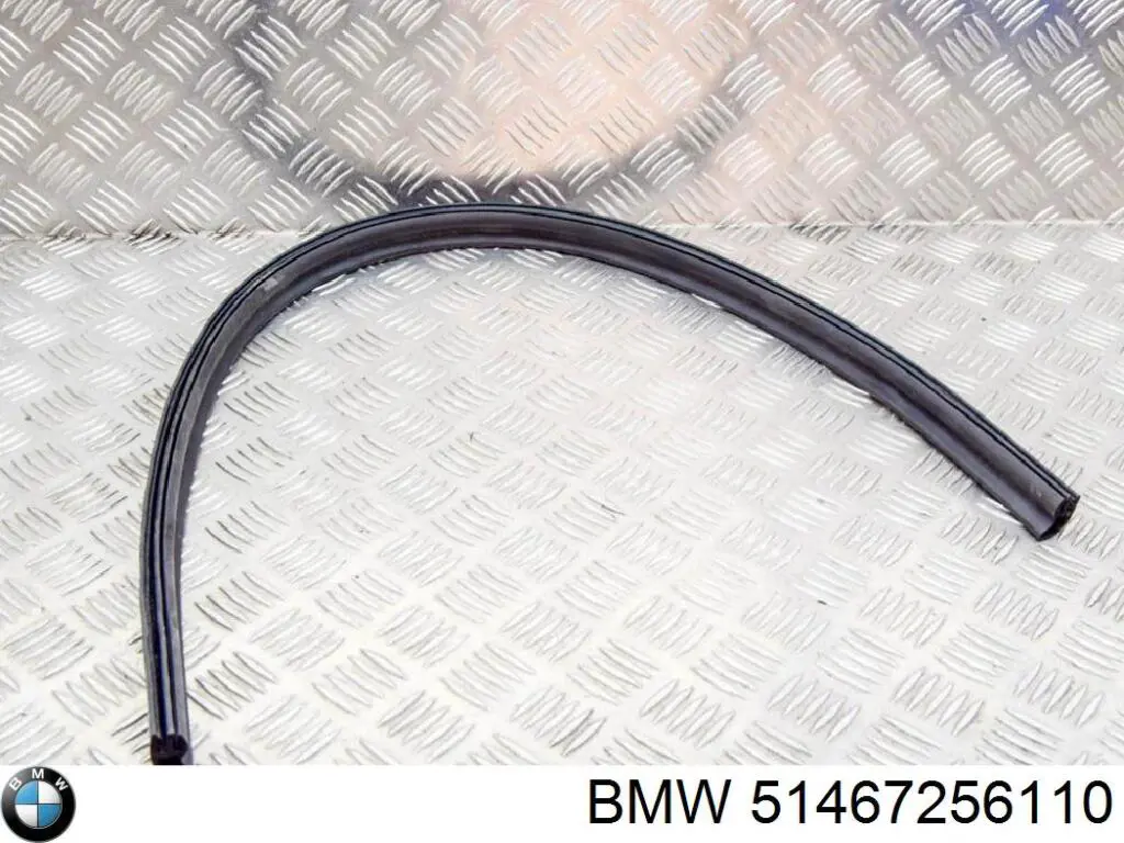  7256110 BMW