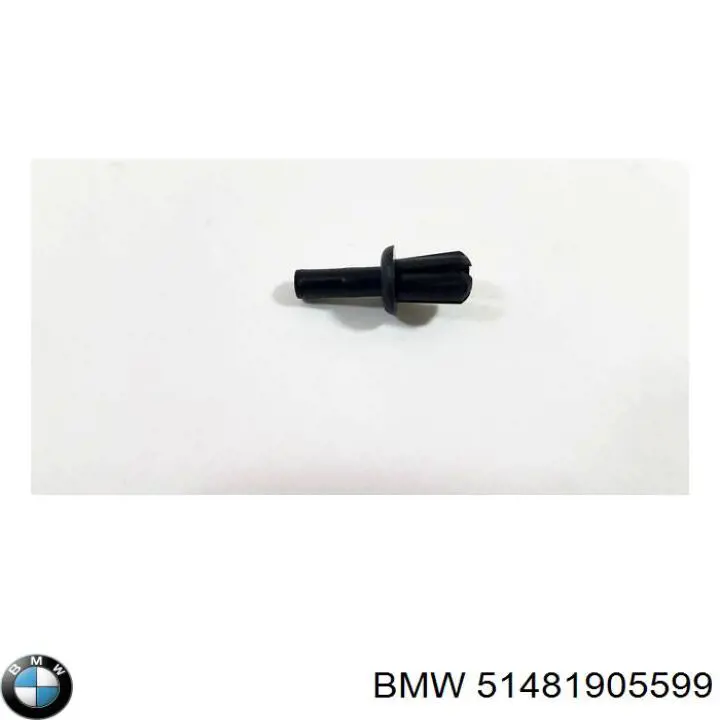  51481905599 BMW