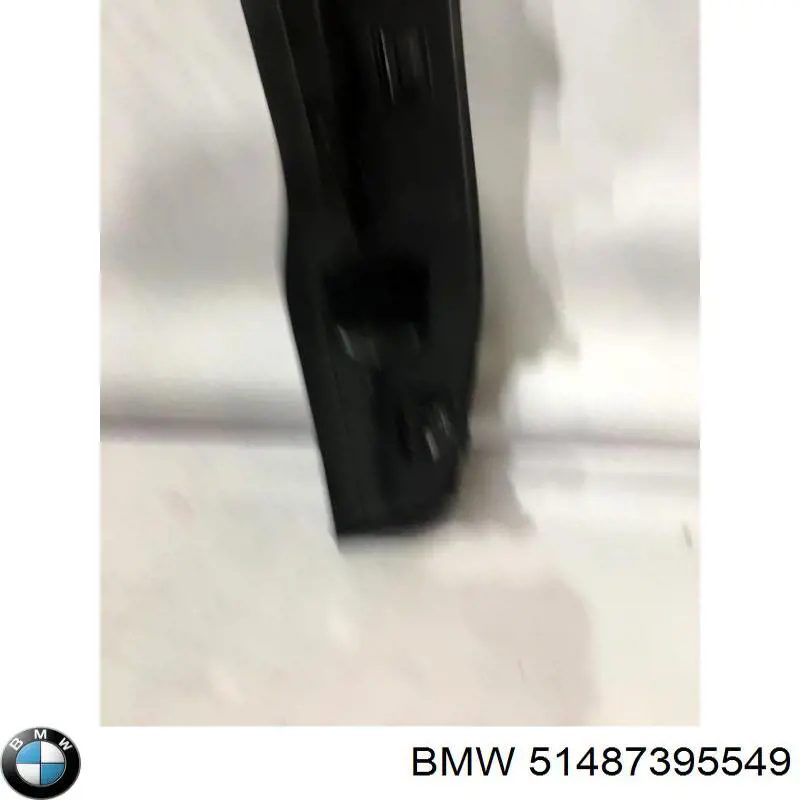 51487395549 BMW 