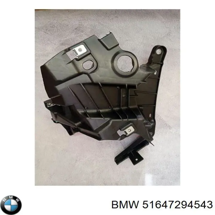 Soporte para guardabarros delantero, izquierda delantero 51647294543 BMW