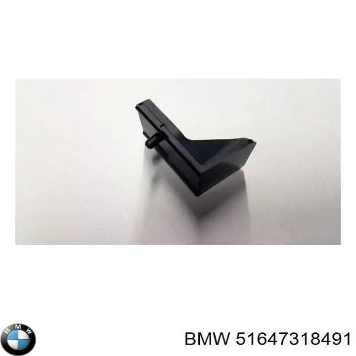 7318491 BMW 