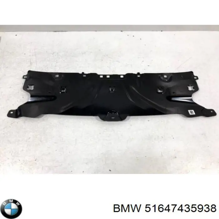 Ajuste Panel Frontal (Calibrador De Radiador) Superior 51647435938 BMW