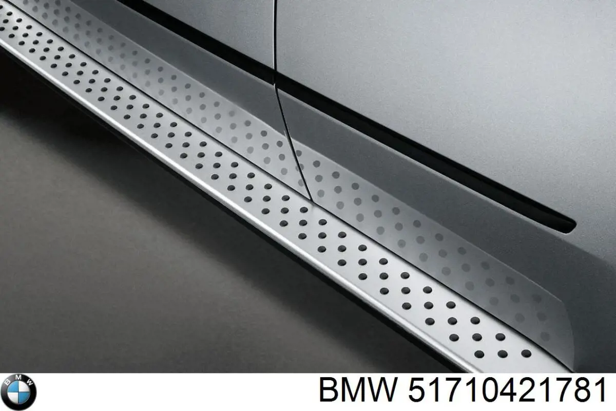 Комплект накладок выносных порогов на BMW X5 (E70) купить.