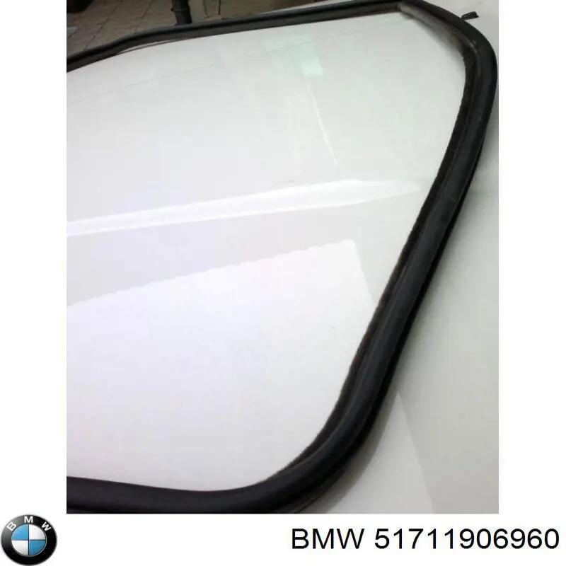 Купить 51711906960 BMW 