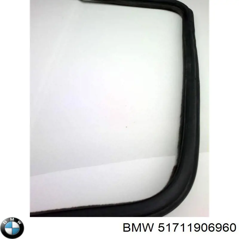  51711906960 BMW