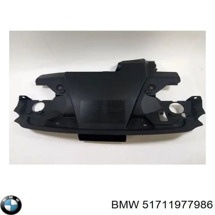  51711977986 BMW