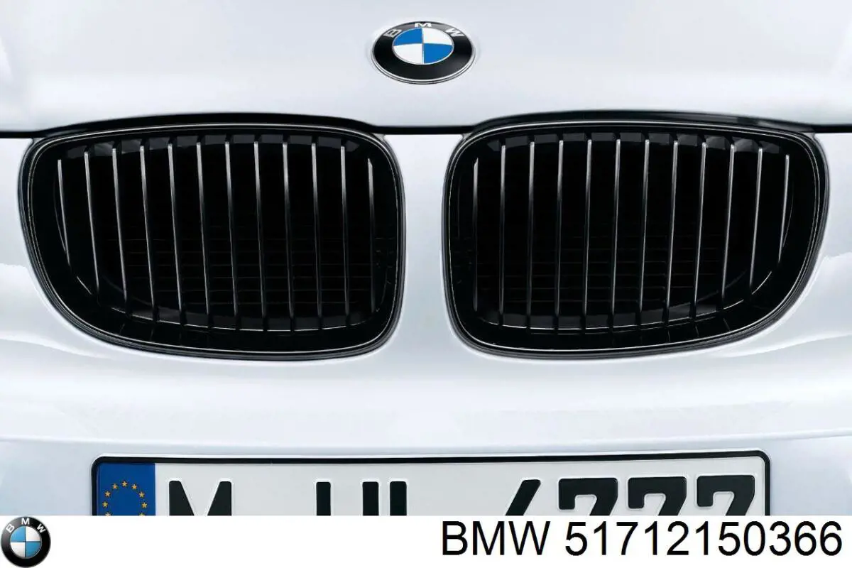Облицовка радиатора BMW 51712150366 цена, от 50.17 USD