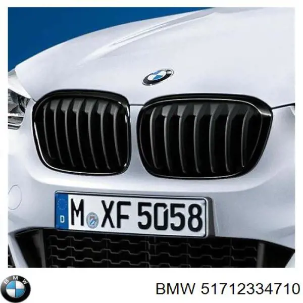 51712334710 BMW Решетка радиатора правая