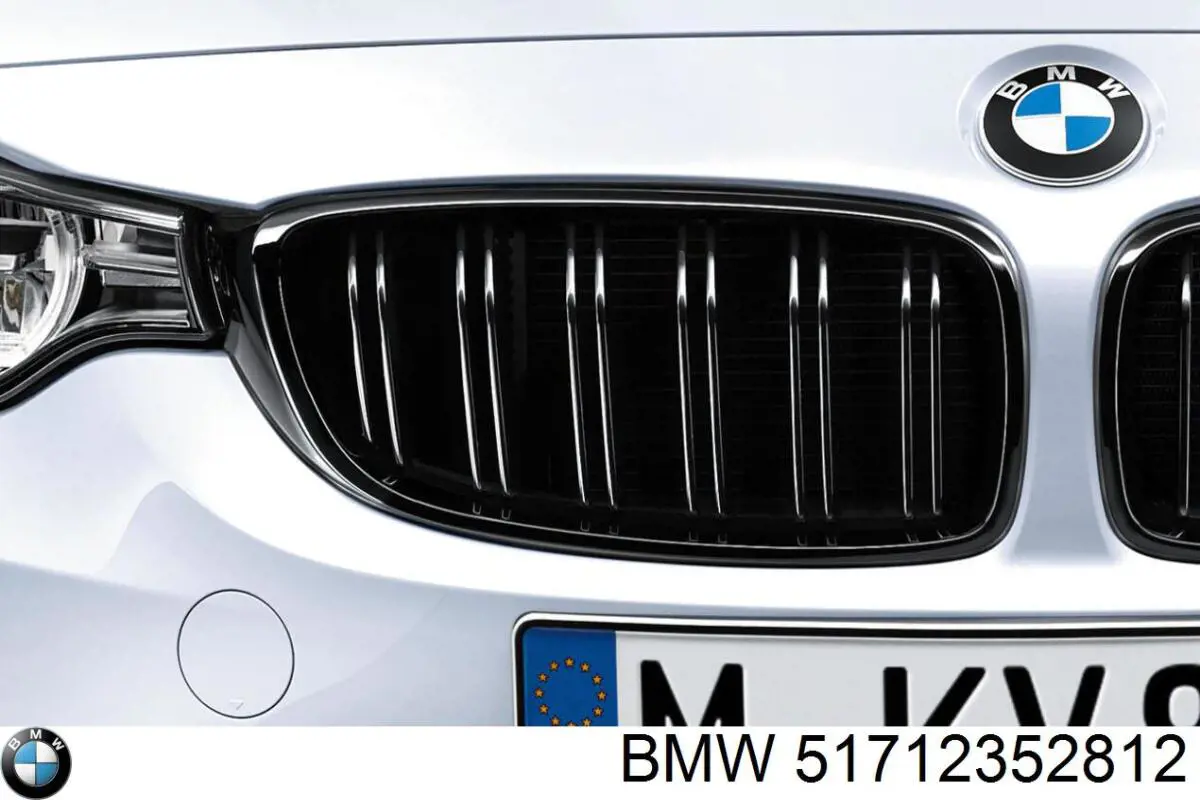 51138068582 BMW grelha do radiador direita