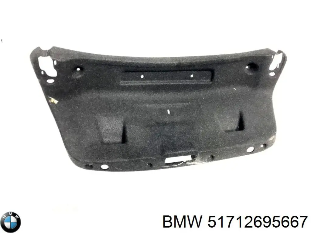 Купить 51712695667 BMW 