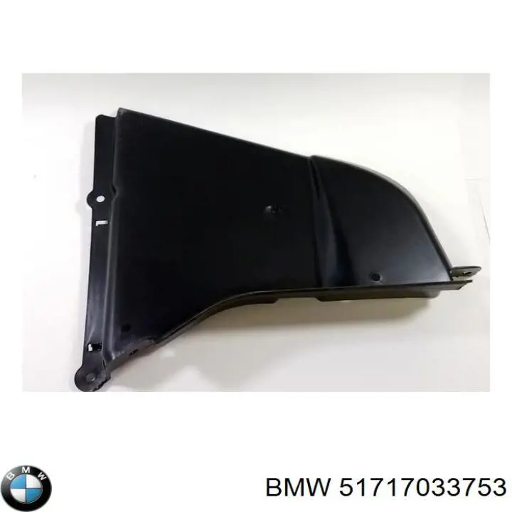 Protección motor izquierda 51717033753 BMW