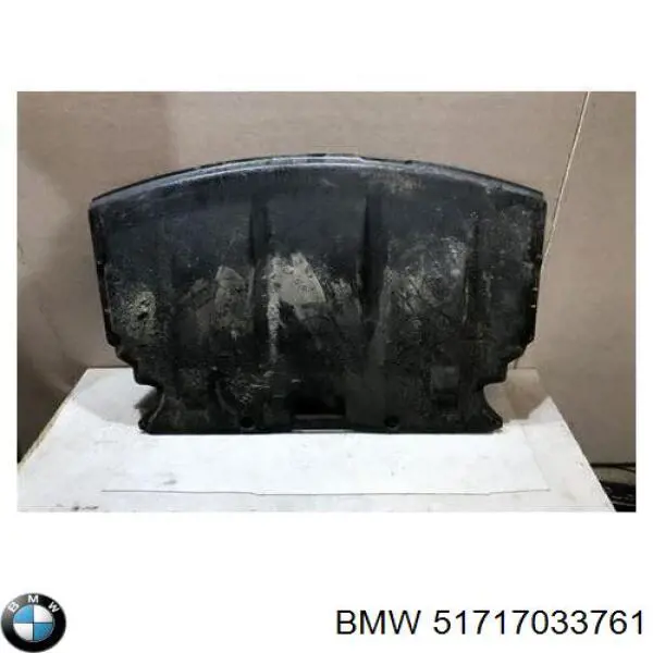 Защита моторного отсека Magneti Marelli 021316938210 цена, от 32.72 USD