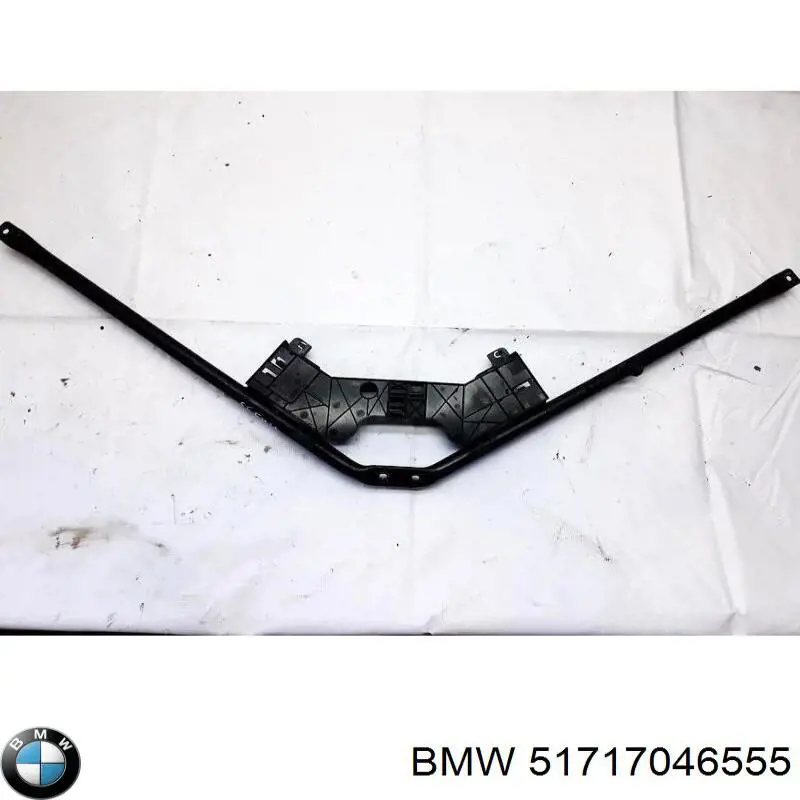 51717046555 BMW 
