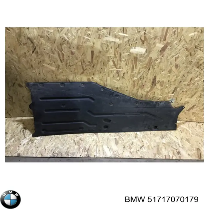 51717070179 BMW proteção de fundo esquerda