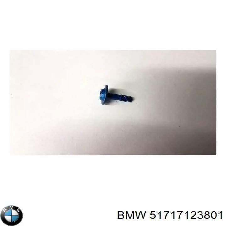 51717123801 BMW 