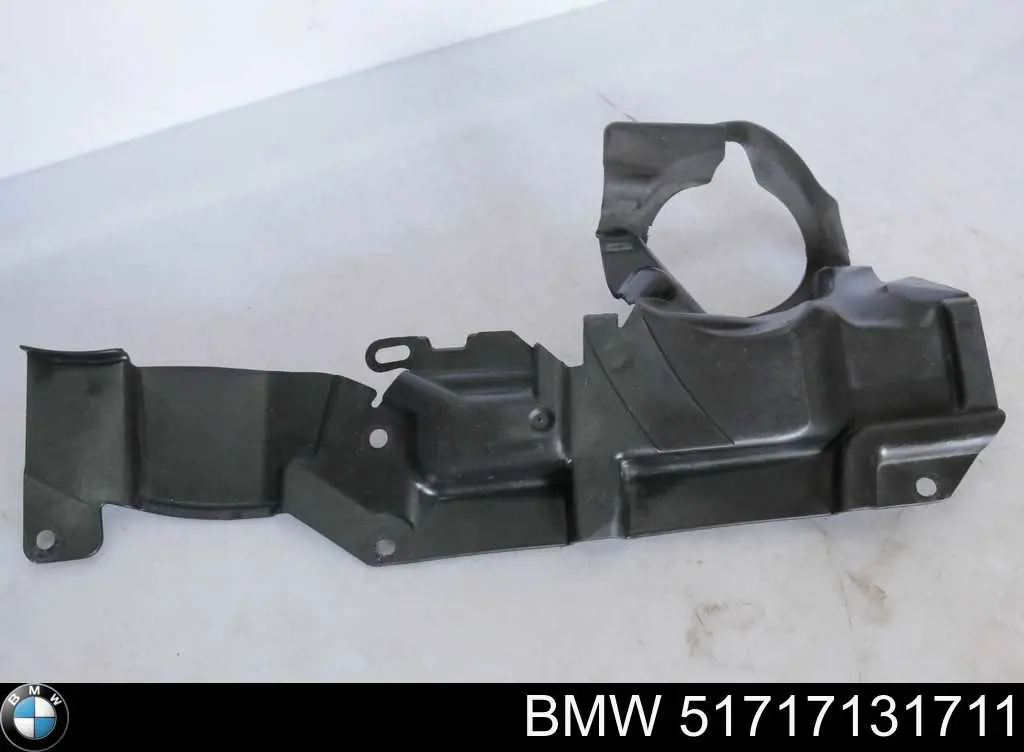 Купить 51717131711 BMW 