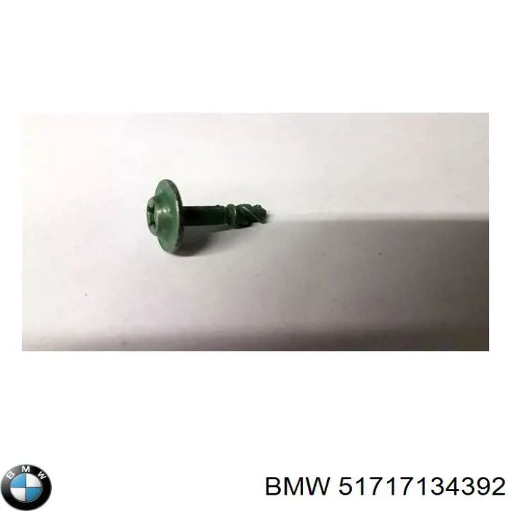 Пробка поддона двигателя 51717134392 BMW