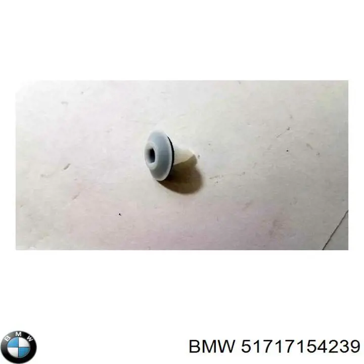 51717154239 BMW 