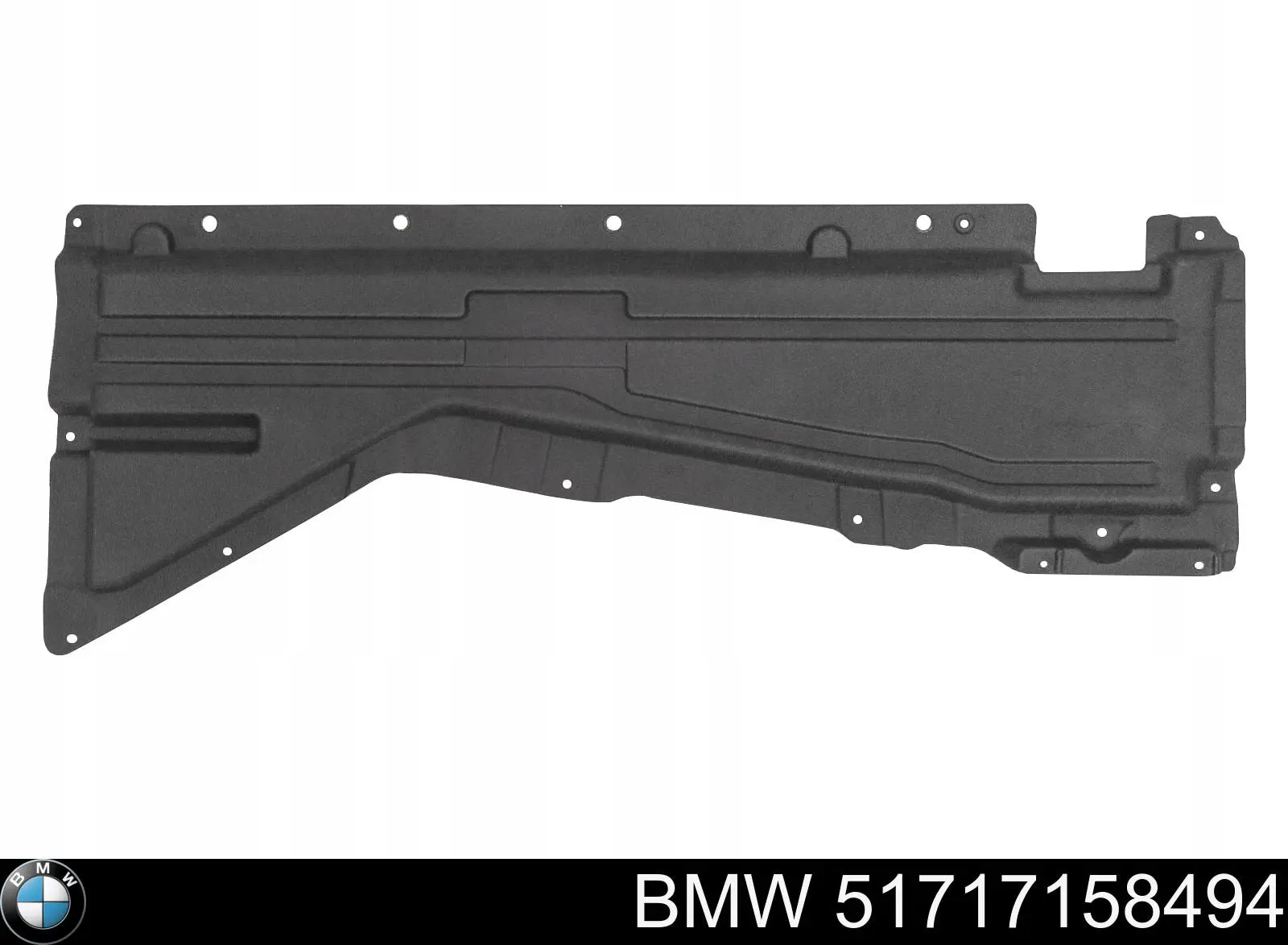 51717158494 BMW 