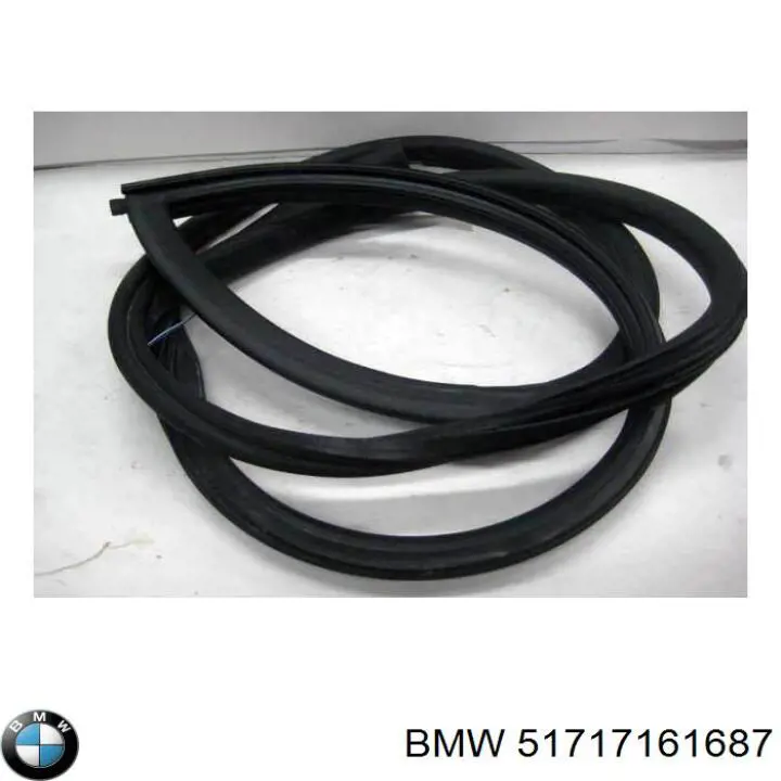 Купить 51717161687 BMW 