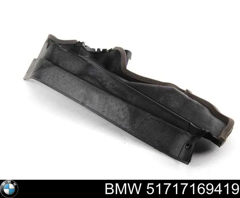 Proteção de motor esquerdo para BMW X5 (E70)